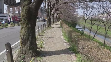 Seorang Wanita Alami Pelecehan Seksual Dan Dirampok Di Kota Toda