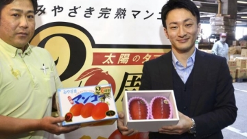 b-mango-a-20180417-870x585