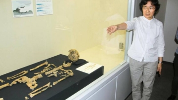 n-skeleton-a-20170520-870x561