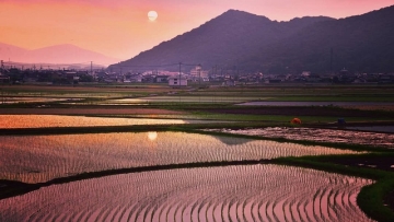 Menikmati Pemandangan Satoyama, Sisi Lain Keindahan Dari Negara Jepang