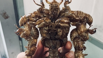 Siswa Sekolah Menengah Di Jepang Buat Action Figure Yang Keren Dari Jangkrik