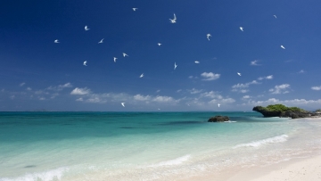 Bosan Dengan Karamaian 4 Pulau Terpencil Di Okinawa Ini Cocok Untuk Kalian Bosan Dengan Karamaian 4 Pulau Terpencil Di Okinawa Ini Cocok Untuk Kalian
