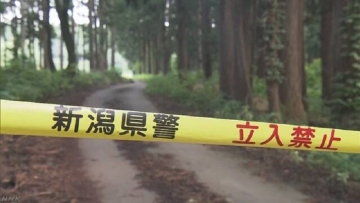 Mayat Wanita Dengan Pisau Menancap Dibelakang Ditemukan Di Sebuah Hutan