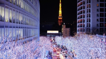 Tokyo Illumination 2018