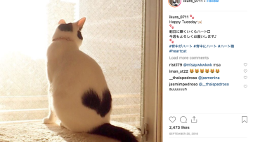 screen-shot-2019-01-21-at-4-01-51-pm