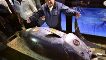 img_5902-1.jpg img_5902-1.jpg