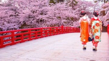 Page_Banner_24055da5-193b-40a2-aa7b-2f2f4c3c602b_2048x2048