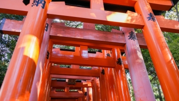 Kyotofeature Kyotofeature