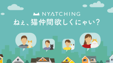 kucing-di-jepang-01 kucing-di-jepang-01