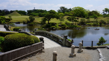 32164323-f1d9-495c-b291-3e0fd5cc9a58cropped