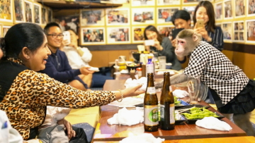 MONKEY WAITERS MONKEY WAITERS