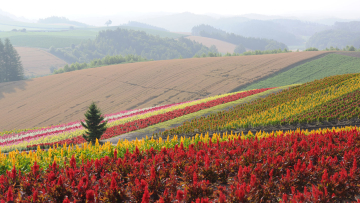 greenGallery02 greenGallery02