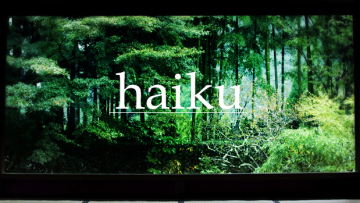 haiku haiku