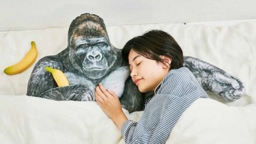 shabani 1 shabani 1