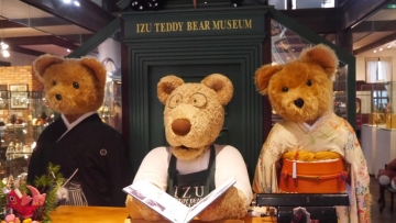 teddy6