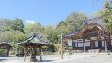 jindaiji0