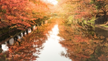 hirosaki-castle-day-ap4-1