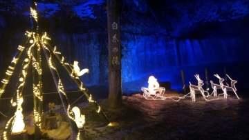 shiraitolight3-cropped