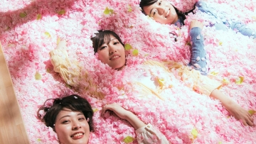 Berfoto di dalam kolam penuh jutaan sakura di Sakura Chill Bar Tokyo (grapee.jp)