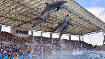 Port of Nagoya Public Aquarium (www.aichi-now.jp)