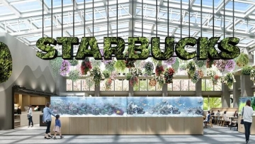 Starbucks Hana Biyori