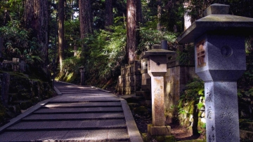 dabdeee4-153a-11e8-af80-0af0cba29dd8