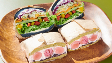Header-Image-MOCMO Header-Image-MOCMO