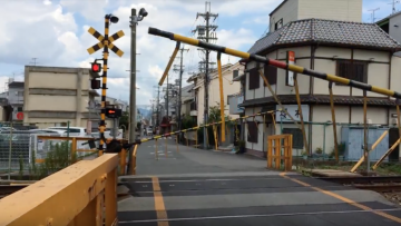 umenoki-humikiri-1024x525