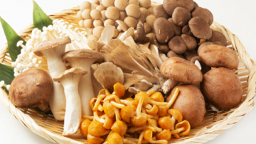 Various_Kinds_of_Japanese_Mushrooms Various_Kinds_of_Japanese_Mushrooms