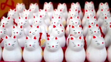 Merchandise Rubah Inari 