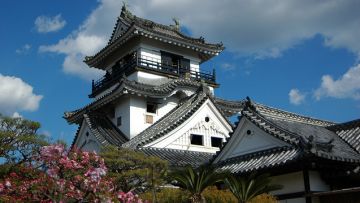 Kastil Kochi  Kastil Kochi