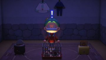 Animal Crossing Black Market japanesestation.com