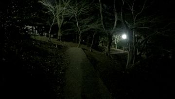 Toyama Park Berita Jepang terkini japanesestation.com