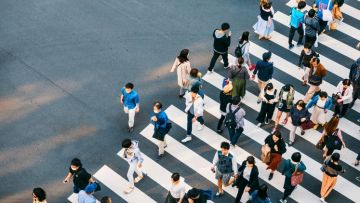 Tatamae, budaya jepang,