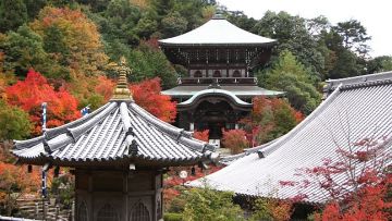 pulau kuil pulau miyajima japanesestation.com