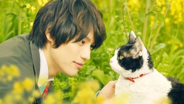 The Travelling Cat Chronicles