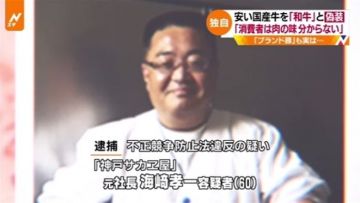 daging wagyu palsu japanesestation.com