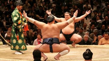 Sumo
