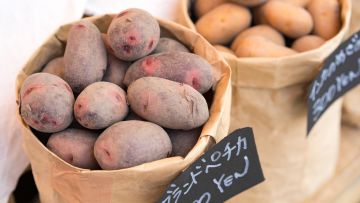 Ilustrasi kentang kentang Jepang jagaimo sejarah japanesestation.com