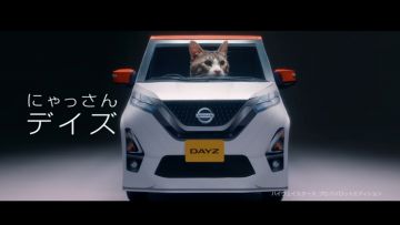 Nissan "Nyasan Dayz" nyasan dayz