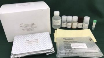 virus corona tes japanesestation.com