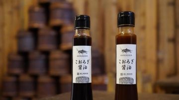 shoyu belalang antcicada