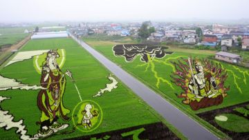 Seni ladang padi di Inakadate seni ladang padi japanesestation.com