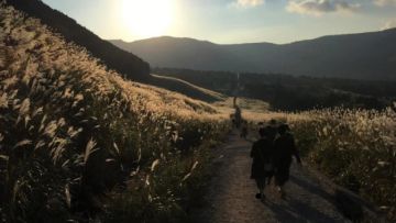 tanda musim gugur di Jepang susuki japanesestation.com