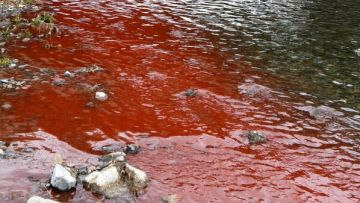 sungai kamogawa kyoto japanesestation.com