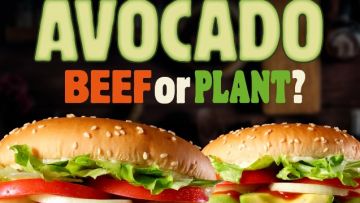 Varian Burger King Terbaru