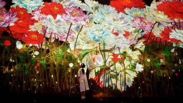 teamLab, 'Proliferating Immense Life - A Whole Year per Year'