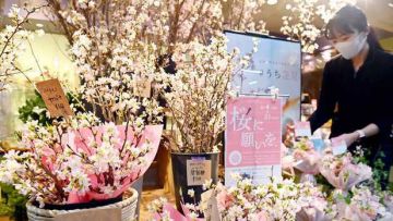 bunga sakura dekorasi japanesestation.com