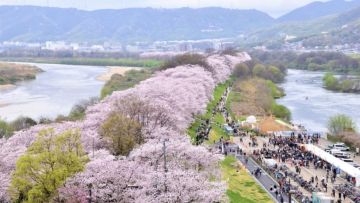 Yodogawa Riverside Park jepang