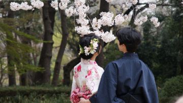 Hanami Hanami